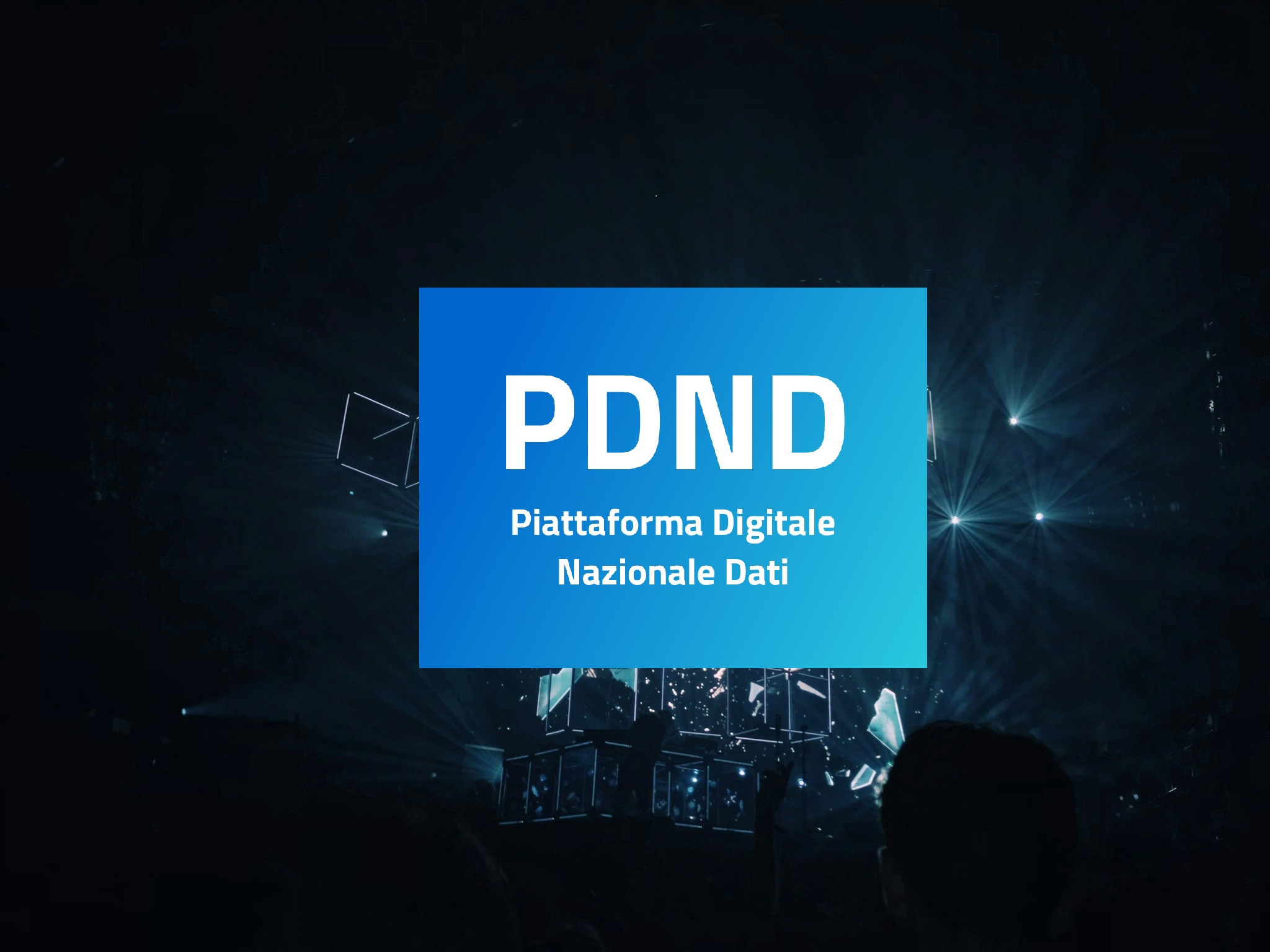 Piattaforma Digitale Nazionale Dati (PDND)
